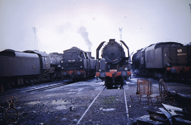 FRANCE SNCF Calais (31).gif