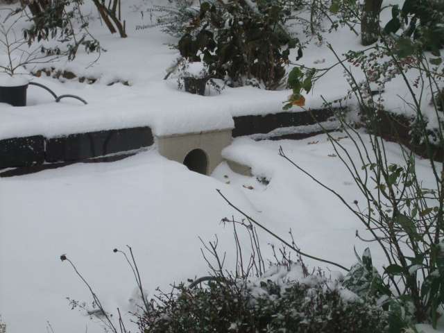 Train de jardin 119_PhotoRedukto.jpg