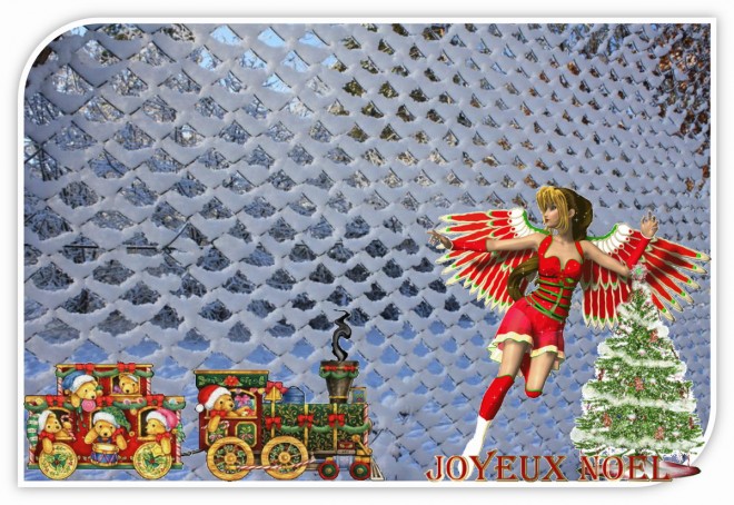 noel 2010.jpg