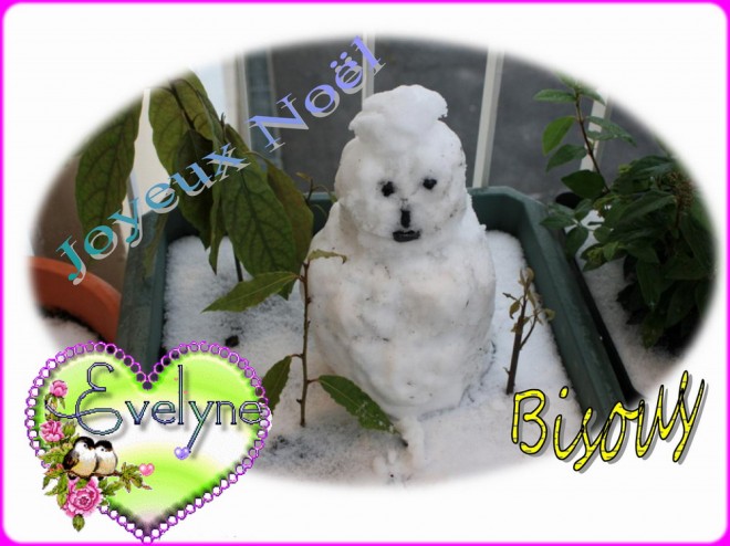 Fête de Noël 2010.jpg
