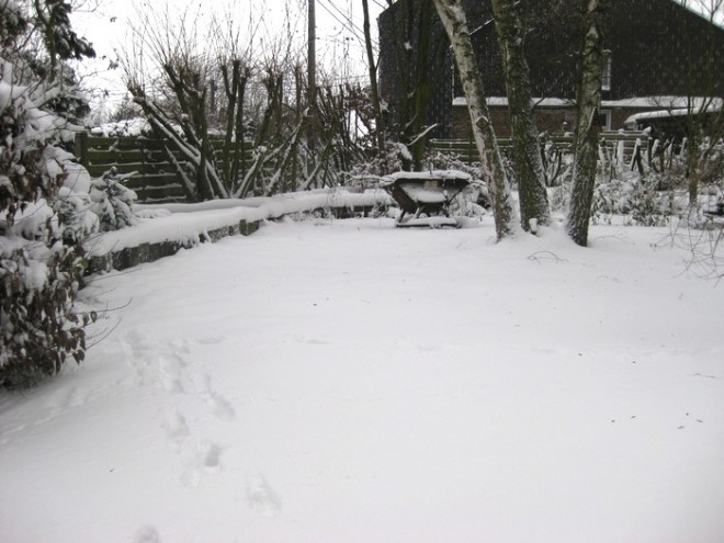 neige 2010.jpg