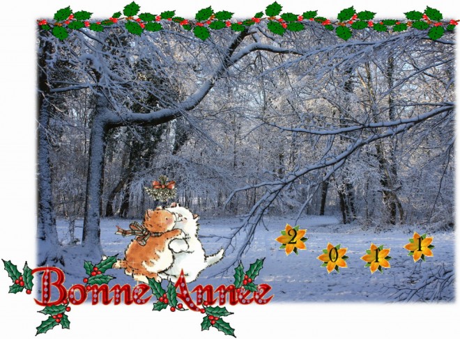 nouvel an 2011 22.jpg