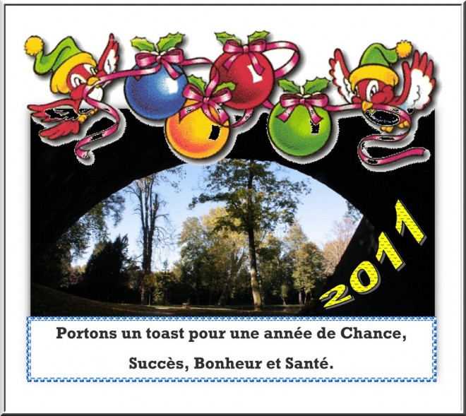 nouvel an 2011 33.jpg