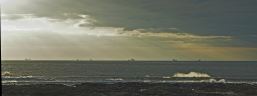 DSC_7234-01brw.jpg