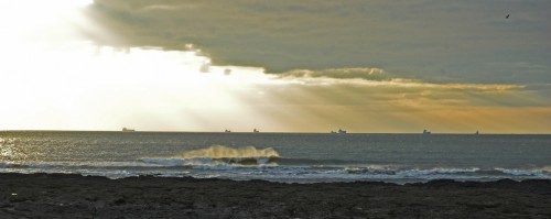 DSC_7239-01brw.jpg