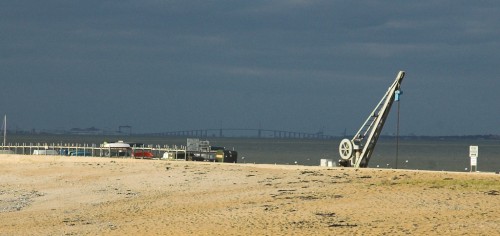 DSC_7231-01brw.jpg
