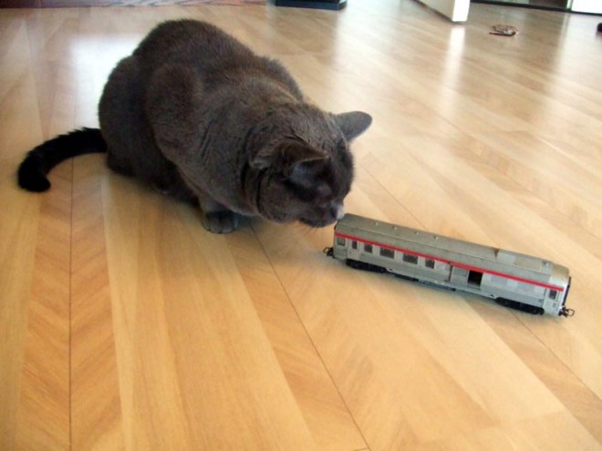Catimini-2.JPG