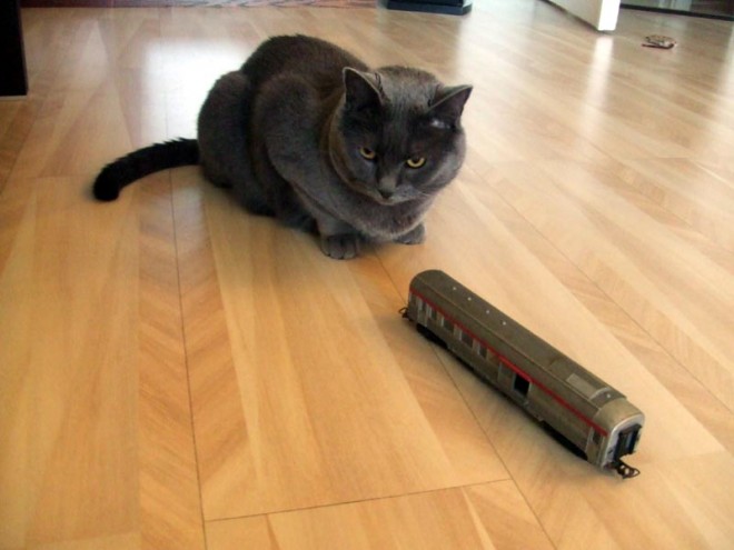 Catimini-1.JPG