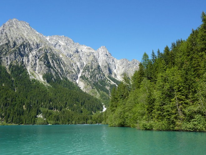 P1030908(1).JPG