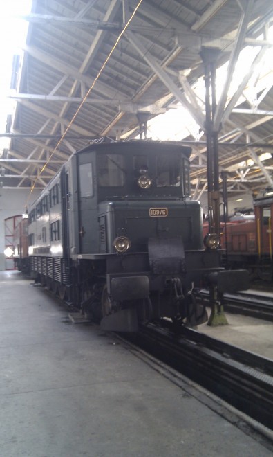 IMAG0239.jpg