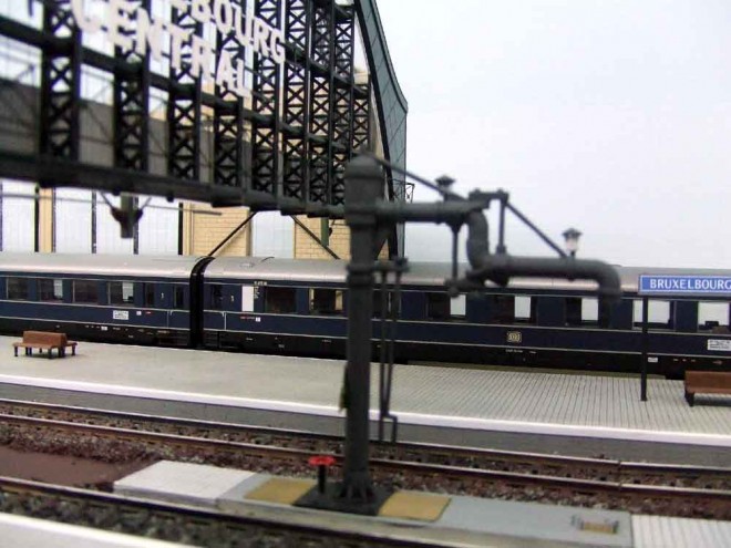 Grue 02.JPG