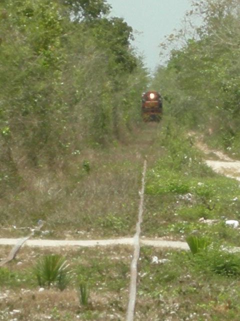 DSCN2276.jpg