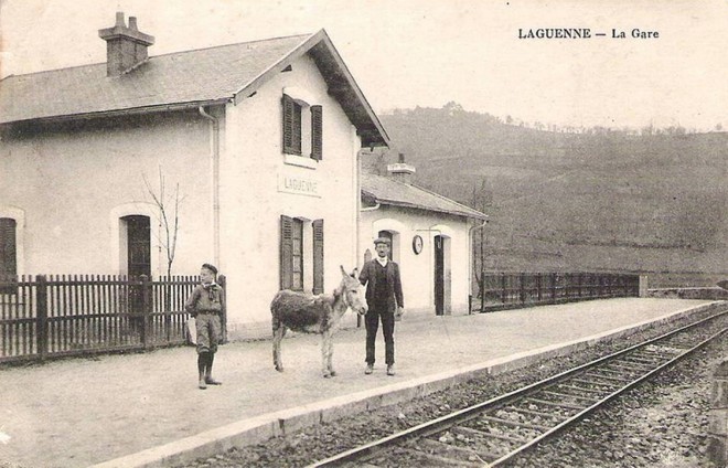 laguenne ane.jpg