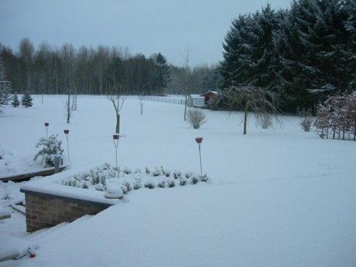 pano2.JPG