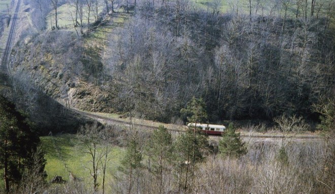 BILLARD entre LAGUENNE et ST BONNET AVALOUZE.JPG