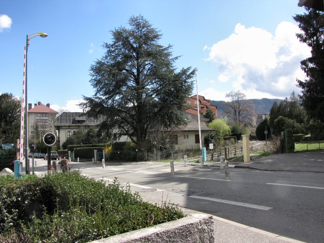 Vovray A7.jpg
