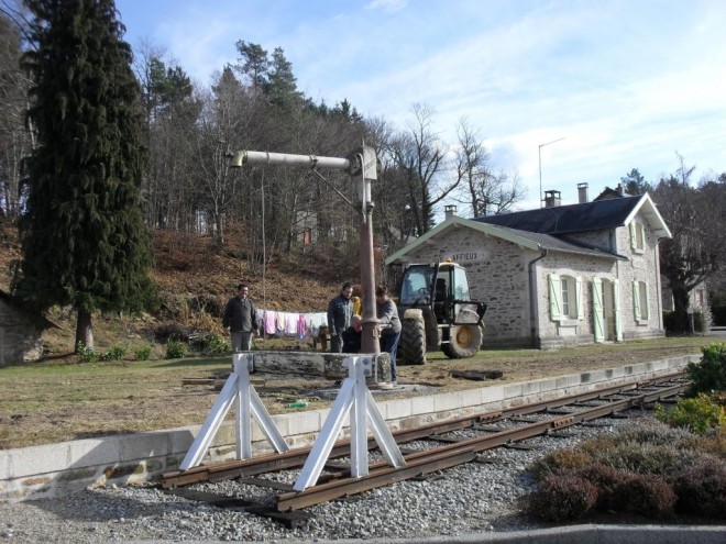 grue 2 04-04-2011.JPG
