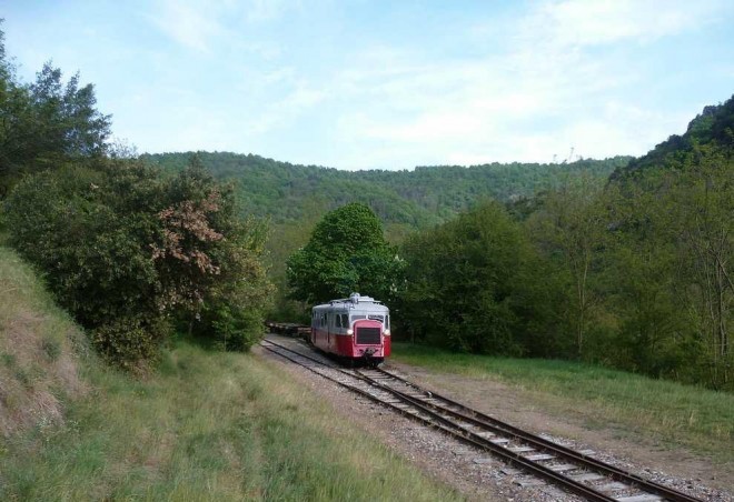 tn_P1020797.JPG