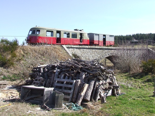 313.jpg