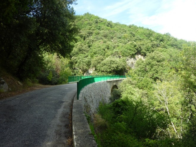 Copie de P1040878.JPG