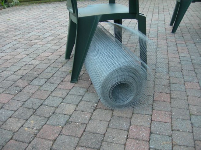 DSCN8563.JPG