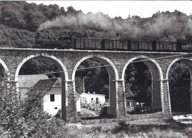 sc000286d202.jpg