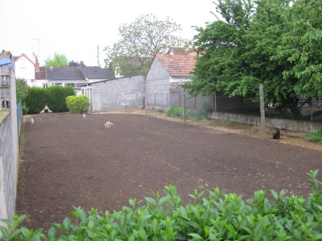 jardin 25 avril 2010 01 reduit.JPG