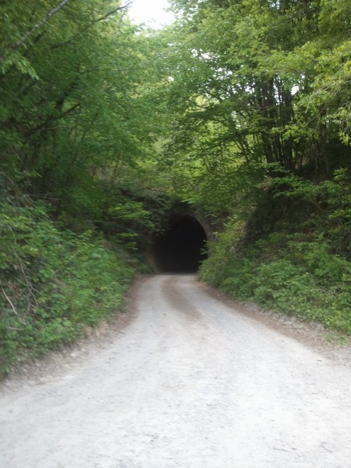 2011-04-30 14.36.50.jpg