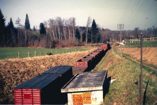 CHAZAL1.jpg