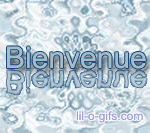 bienvenue_sbfe.gif