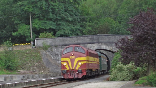 P8150005(1)(1).jpg
