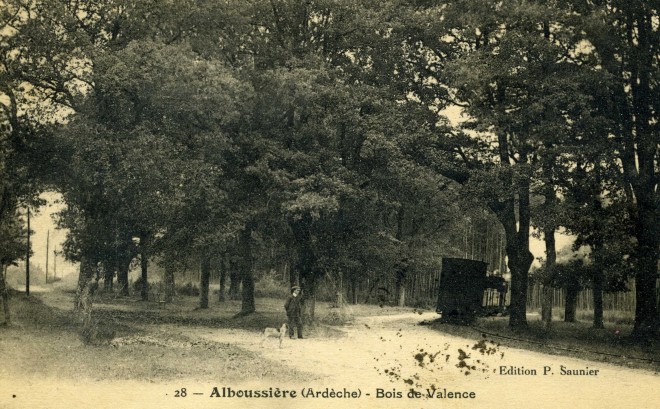 01-80 N° 42055.jpg