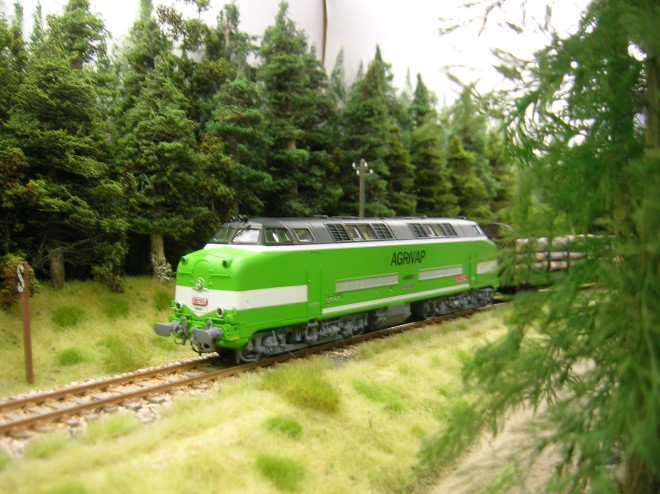 DSCN3287.JPG