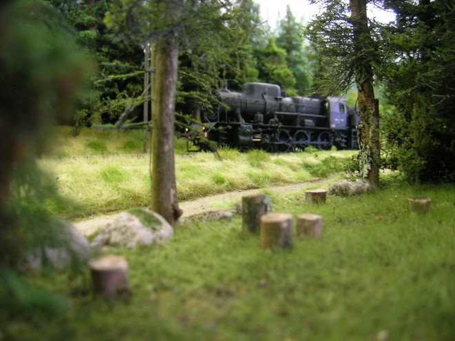 DSCN3136.JPG