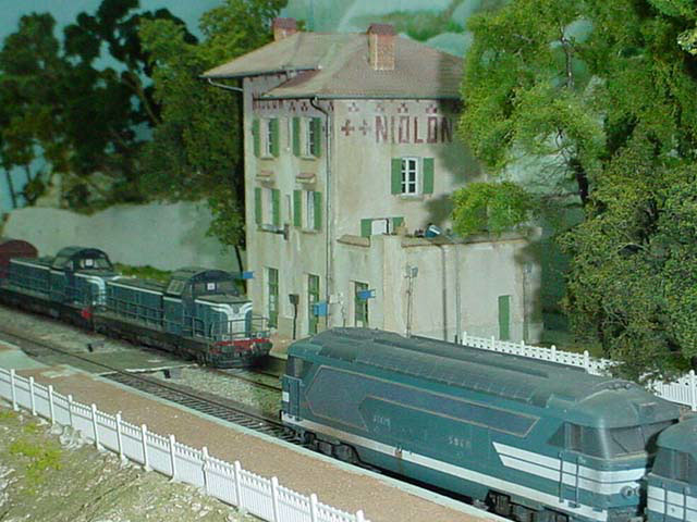 croisementniolon1.jpg