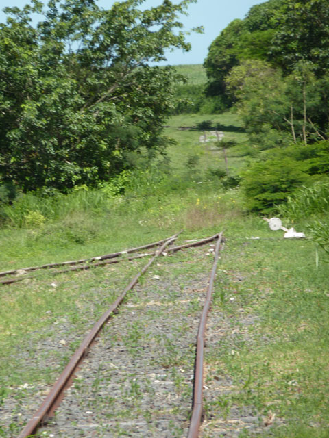 P1040361.jpg