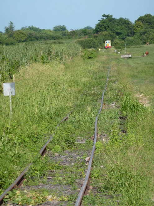 P1040400.jpg