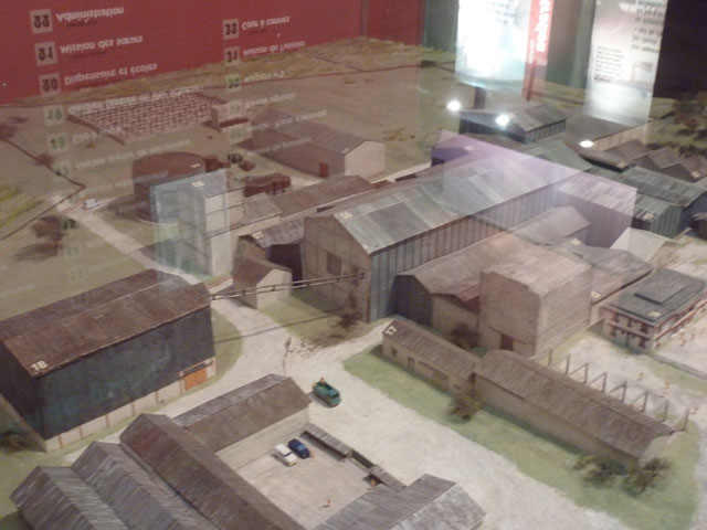 P1040396.jpg