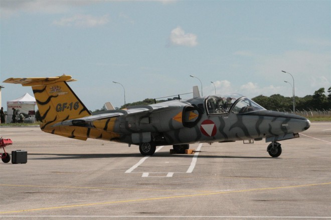 Gripen Grec.JPG