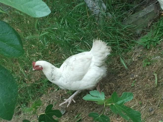 2011-06-03 13.55.13.jpg