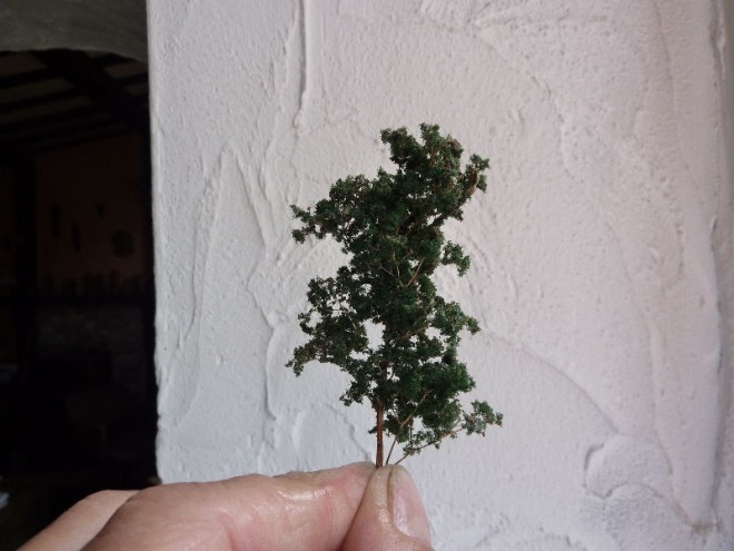 P1060083(1).JPG
