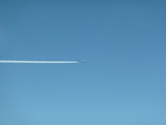 P1040344.jpg