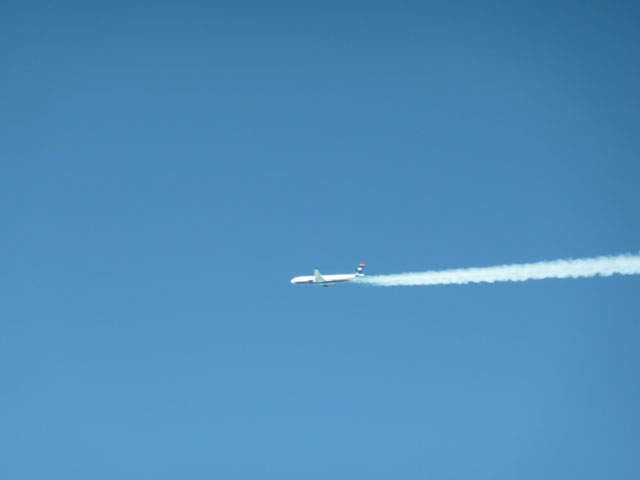 P1040348.jpg
