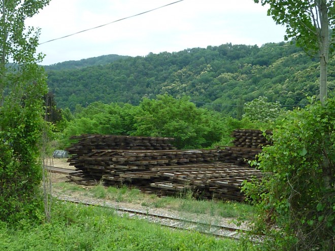 P1130474.JPG