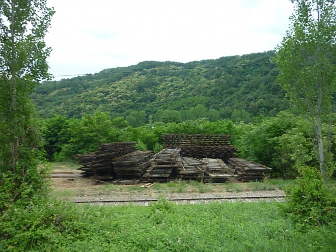 P1130480.JPG