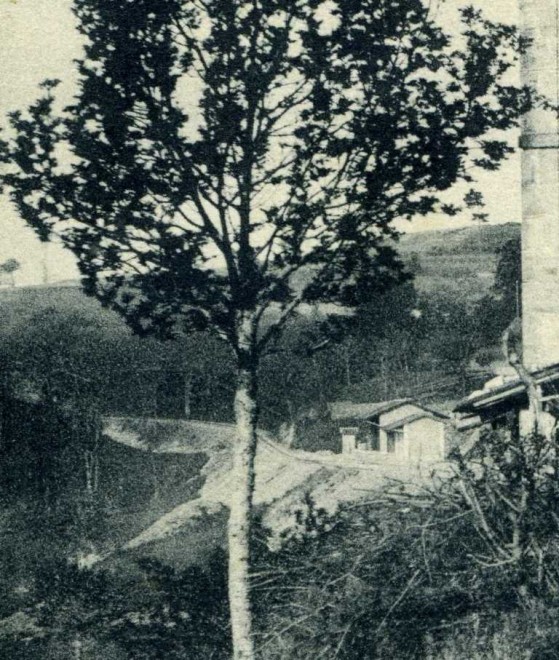 01-80 N° 42125.jpg