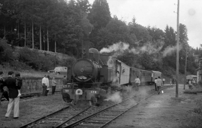 01-80 N° 42155.jpg
