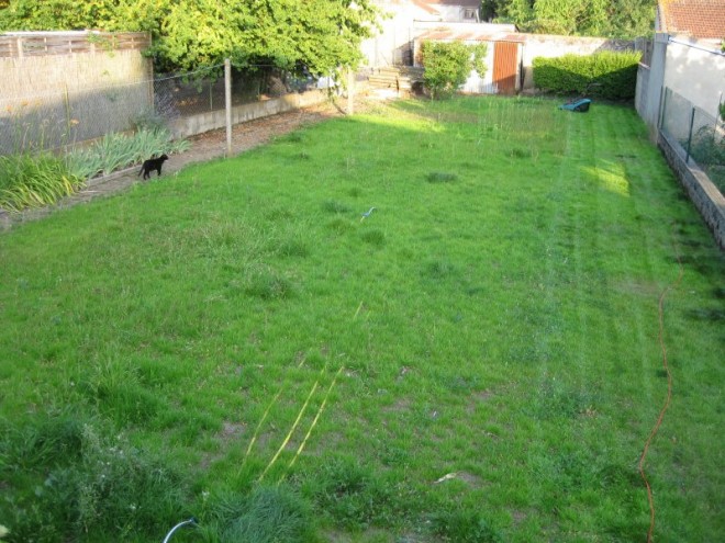 jardin 27 juin 2011 04 reduit.JPG