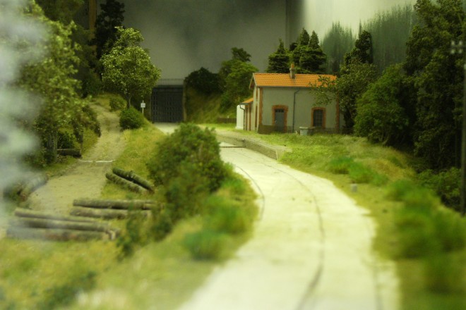 DSCF0213.JPG