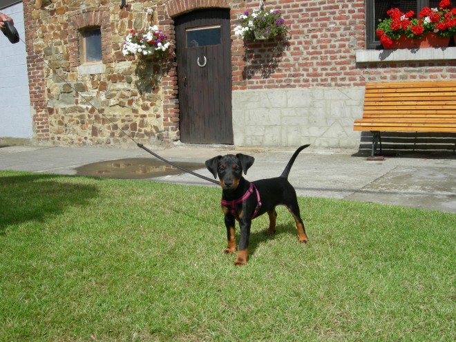 DSCN0387.JPG